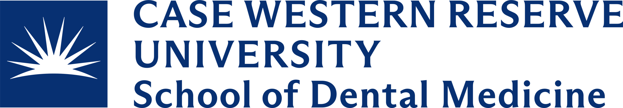 veluxdentalsyracuse.com
